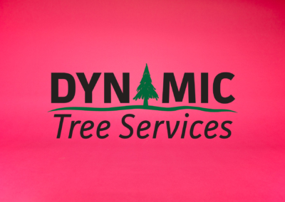 Dynamic Tree Services Projects