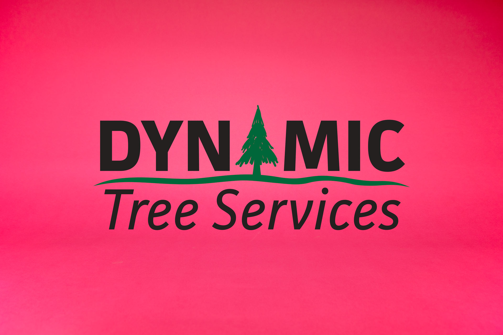 Dynamic Tree Service Logo Branding
